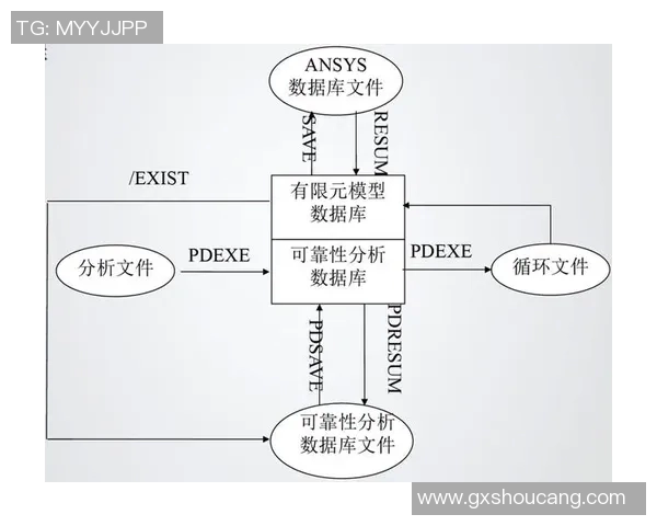 基于进球概率分析的足球比赛数据报告及预测模型研究