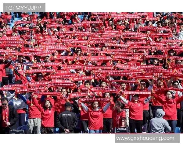 球迷文化演变史